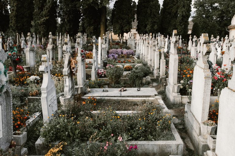 Photo by Anton Darius | Sollers on Unsplash
